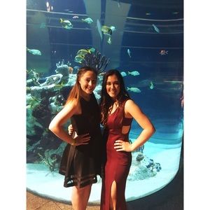 Meet your Posher, Dessa